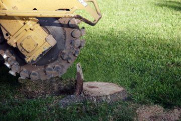 Stump Grinding