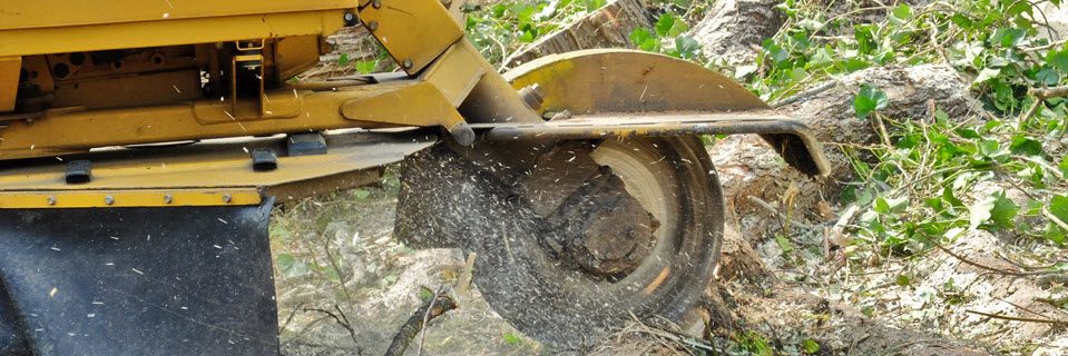 Stump Grinding